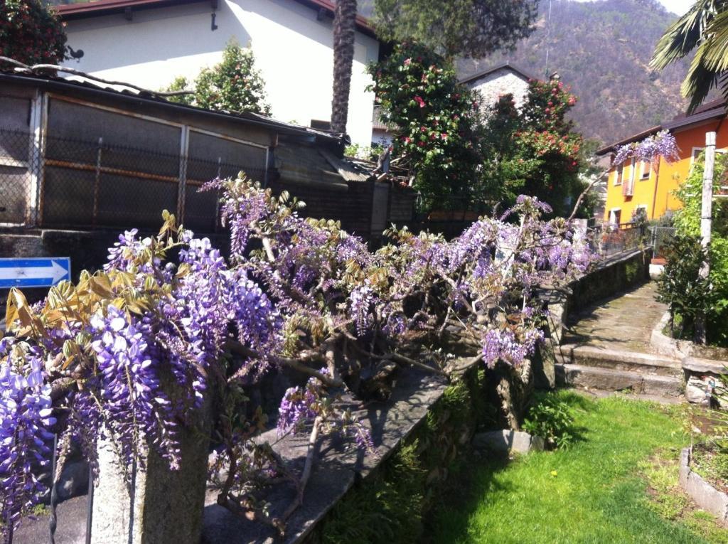 B&B Villa Dei Pini Cannobio Luaran gambar
